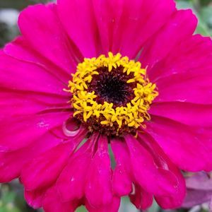 Meet your Posher, Anela